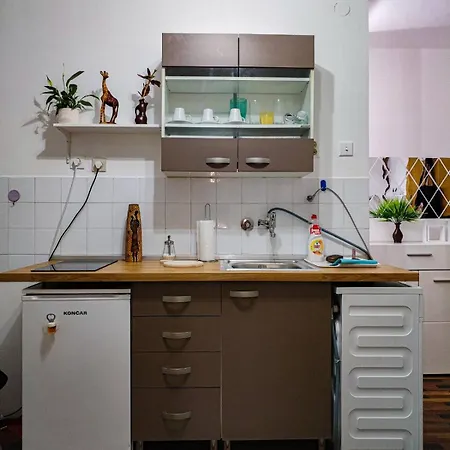 Apartament Studio-harmony Belgrad